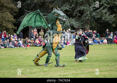 Dragon bei Festival das St George's im Park entreißen, Silsoe, Bedfordshire, England Stockfoto