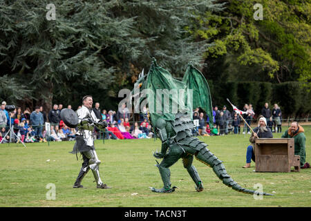 St. George und der Drache im Festival das St George's im Park entreißen, Silsoe, Bedfordshire, England Stockfoto