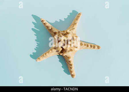 Starfish on turquoise bakground, tavel and summer concept. Nobody. Stockfoto