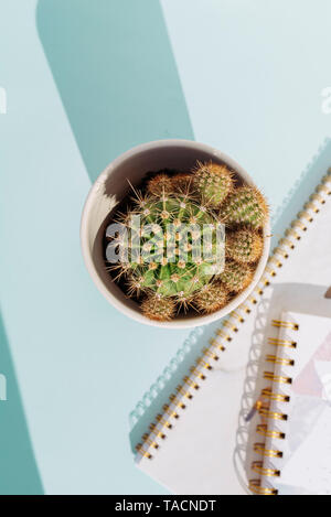 Kreative Arbeitsplatz mit Schreibtisch mit Notizbuch und Bleistift Kaktus auf weichen blauen Hintergrund. Niemand Stockfoto