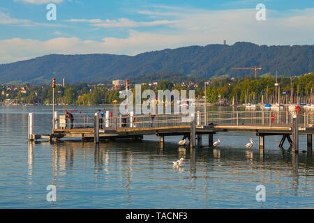 Eine Anlegestelle am See Zürich im Sommer Stockfoto