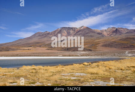 Schönen Laguna Verde, Salar de Uyuni, Bolivien Stockfoto