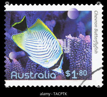 Australien - ca. 2010: einen Stempel in Australien gedruckten zeigt ein Bild von Chevron Falterfische, circa 2010. Stockfoto