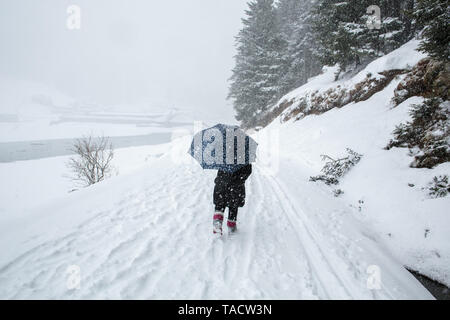 Wandern im Schnee im Winter: Jemand mit einem Regenschirm und Schnee rund um den See Payolle, Campan Tal in den Pyrenäen (Frankreich) Stockfoto