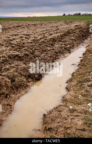 Eine Pfütze in einem Traktor Track in einem landwirtschaftlichen Gebiet in Franken/Bayern, in der Nähe von Heroldsberg, auf einem moddy bewölkten Tag im März 2019 Stockfoto