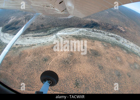 Luftaufnahme der trockenen Flussbett des Swartlintjies Fluss in der Namaqua National Park in der Northern Cape Provinz von Südafrika. Stockfoto