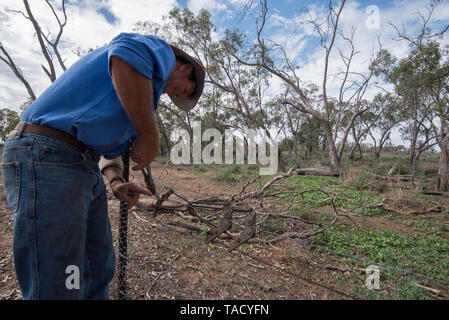 Mai 2019 Burren Junction, Australien: Bauer Richard Marshall Reparatur einer beschädigten Draht Zaun mit seinem bevorzugten vintage Donald kabel Sieb Stockfoto