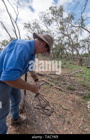Mai 2019 Burren Junction, Australien: Bauer Richard Marshall Reparatur einer beschädigten Draht Zaun mit seinem bevorzugten vintage Donald kabel Sieb Stockfoto