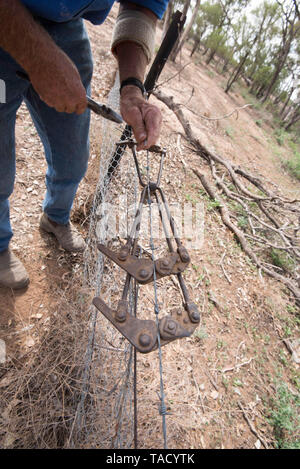 Mai 2019 Burren Junction, Australien: Bauer Richard Marshall Reparatur einer beschädigten Draht Zaun mit seinem bevorzugten vintage Donald kabel Sieb Stockfoto