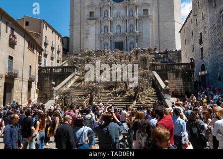 2019 Girona Flower Show (Temps de Flors) im historischen Viertel der katalanischen Stadt in Spanien. Anzeige auf die Kathedrale. Stockfoto