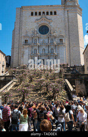 2019 Girona Flower Show (Temps de Flors) im historischen Viertel der katalanischen Stadt in Spanien. Anzeige auf die Kathedrale. Stockfoto