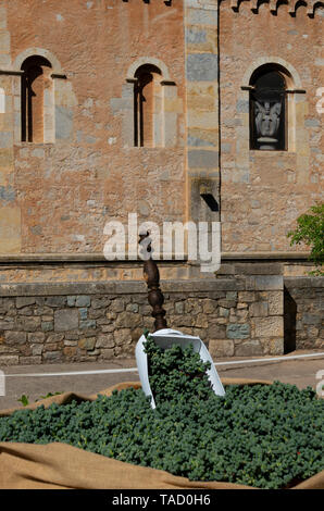 Girona Flower Show (Temps de Flors) 2019 im historischen Viertel von der katalanischen Stadt in Spanien Stockfoto