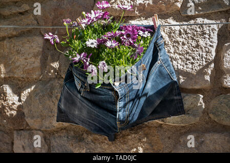 Girona Flower Show (Temps de Flors) 2019 im historischen Viertel von der katalanischen Stadt in Spanien Stockfoto