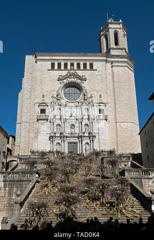 2019 Girona Flower Show (Temps de Flors) im historischen Viertel der katalanischen Stadt in Spanien. Anzeige auf die Kathedrale. Stockfoto