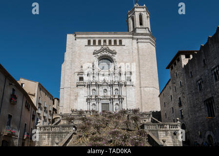 2019 Girona Flower Show (Temps de Flors) im historischen Viertel der katalanischen Stadt in Spanien. Anzeige auf die Kathedrale. Stockfoto