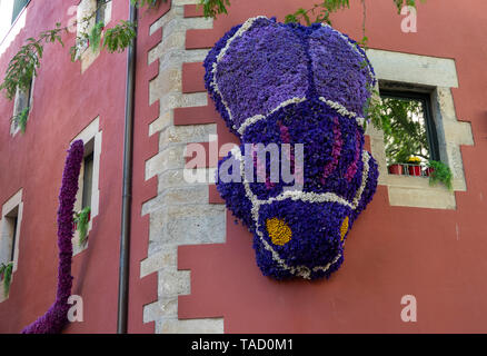 Girona Flower Show (Temps de Flors) 2019 im historischen Viertel von der katalanischen Stadt in Spanien Stockfoto