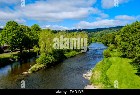 Der Fluss Tweed fließt durch die Scottish Borders Stadt Peebles, Schottland Stockfoto