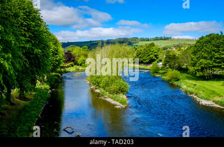 Der Fluss Tweed fließt durch die Scottish Borders Stadt Peebles, Schottland Stockfoto