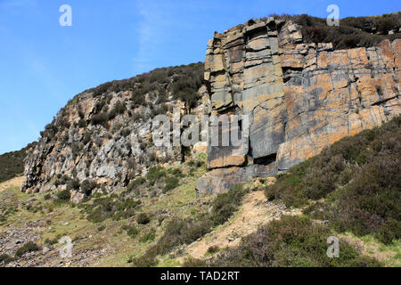 Felswand der Mühlstein Grit - ein Sandstein aus der Steinkohlenzeit entstanden, Dekan Schwarz Bach, Anglezarke, nr White Coppice, Lancashire Stockfoto