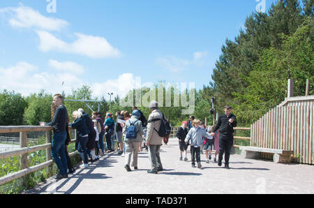 Menschen zu Besuch in Blackpool Zoo auf einem warmen und sonnigen Tag Stockfoto