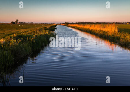 Schöne Graben in den Niederlanden, Provinz Friesland, Region Gaasterland Stockfoto