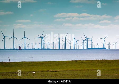 Windmühlen in den See namens IJsselmeer, Bild in den Niederlanden Region Gaasterland, Provinz Friesland Stockfoto