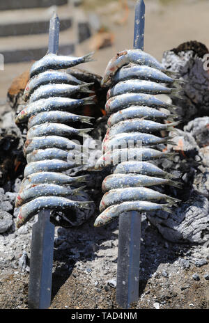 Frische Sardinen vom Grill auf Strand Malagueta entfernt, im Stadtzentrum von Malaga, an der Costa del Sol, Spanien, Europa Stockfoto