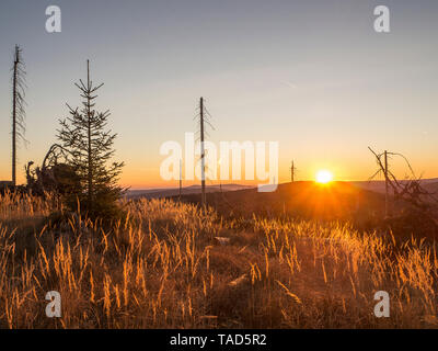 Deutschland, Bayern, Bayerischer Wald, Sonnenaufgang am Lackenberg in der Nähe von Bayerisch Eisenstein Stockfoto