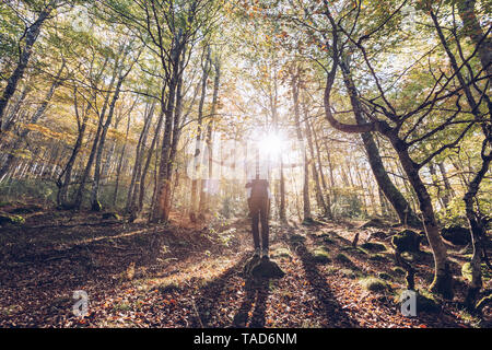 Spanien, Navarra, Wald von Irati, junge Mann in üppiger Wald mit ausgestreckten Armen Stockfoto