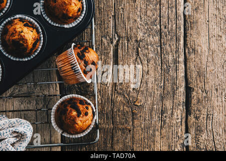 Home gebackene Muffins mit Schokoladenstückchen in törtchenform auf Kühlung Raster Stockfoto