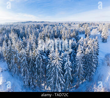 Deutschland, Bayern, Luftaufnahme über verschneite Wald Fichten in der Nähe von Geretsried Stockfoto