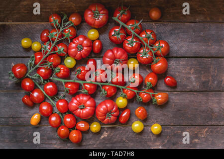 Verschiedene Sorten von Tomaten auf Holz Stockfoto