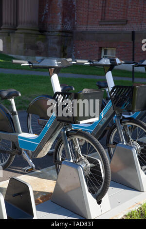 Zwei elektrische Fahrräder warten in einer Ladestation in Northampton, Massachusetts. Stockfoto