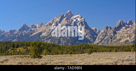 Die Grand Tetons an einem klaren Fall Tag im Grand Teton National Park, Wyoming Stockfoto