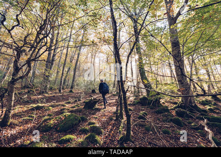 Spanien, Navarra, Wald von Irati, junge Frau zu Fuß in üppiger Wald Stockfoto