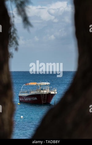 Zakynthos, Griechenland - April 2019: Die kleinen privaten touristischen Glasbodenboot an der Küste in der Bucht von Agios Nikolaos, Zakynthos Insel Stockfoto