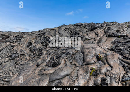 USA, Hawaii, Vulkane, National Park, lava Felder entlang der Kette von Kratern Straße Stockfoto