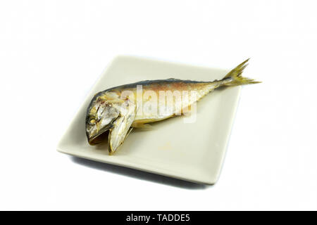 Gedünstet Makrele Fisch auf dem Teller auf weißem Hintergrund Stockfoto