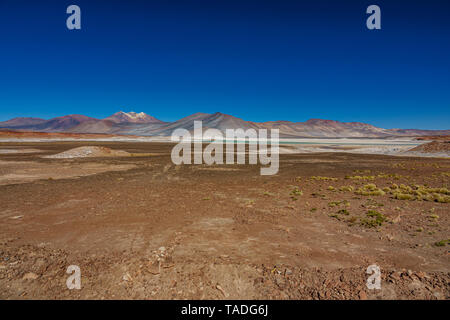 Rote Steine und Talar salar in Atacama Stockfoto