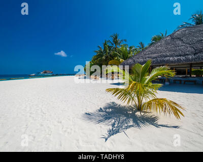 Malediven, Ross Atoll, Strandbar und Sandstrand mit Palmen Stockfoto