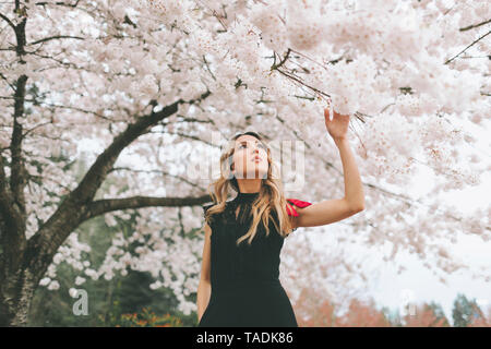 Schöne Frau bewundern flowering cherry tree Stockfoto