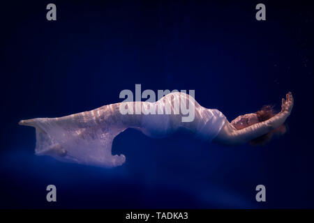 Schwangere Frau tragen weiße Kleid unter Wasser Stockfoto