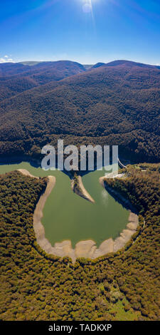 Spanien, Navarra, Wald von Irati, Scenic mit Behälter Stockfoto