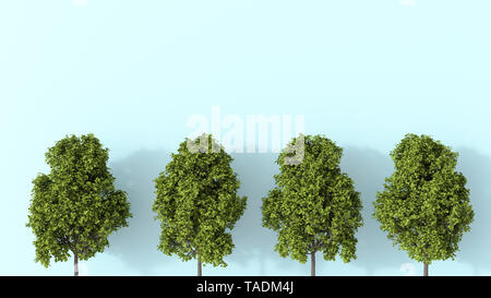 3D-Rendering, Reihe von Sommer Bäume Stockfoto
