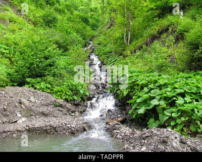 Das klare Wasser von einem Gebirgsbach fließt durch eine Kaskade von boulders entlang der gewundenen Schluchten der Karpaten. Stockfoto