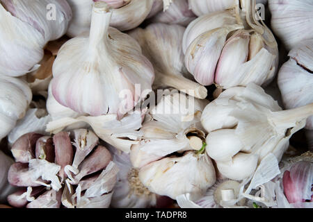 Knoblauch Zwiebeln auf dem Markt Stockfoto