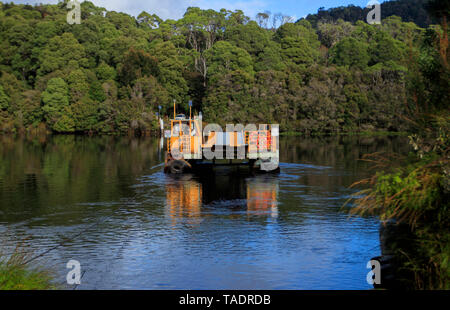 Die Fähre bei Corinna im Tarkine Wildnis in Tasmanien, Australien trägt der gesamten Pieman River. Stockfoto