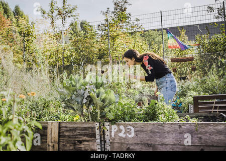 Frau in Urban Garden riechen im Flower Stockfoto