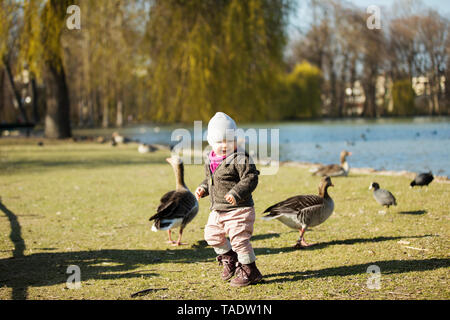 Kleinkind Mädchen spielen mit Gänse an einem Teich im Park Stockfoto