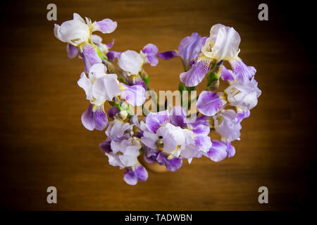 Bouquet von schönen Blumen Iris auf hölzernen Hintergrund isoliert Stockfoto